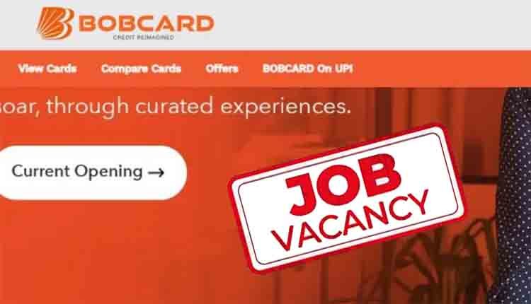 bobcard recruitment 2024 0