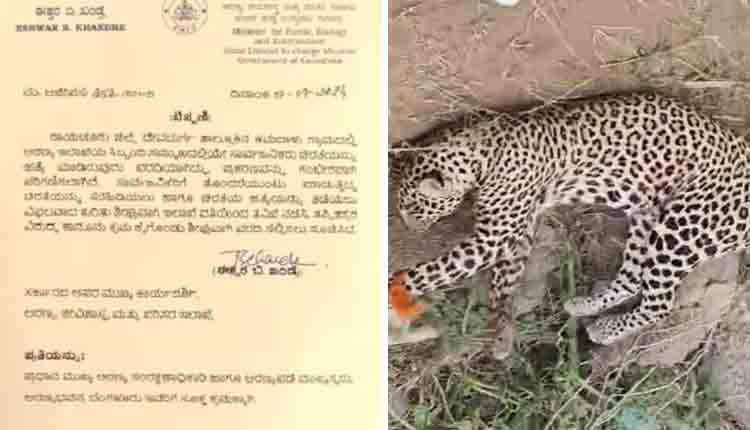 leopard Attack raichur 0