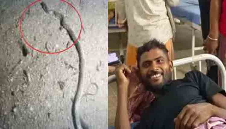 man bite snake in bihar 1