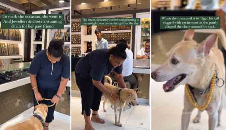 women celebrate dog birthday 1