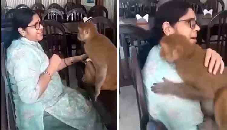 monkey adorable reaction