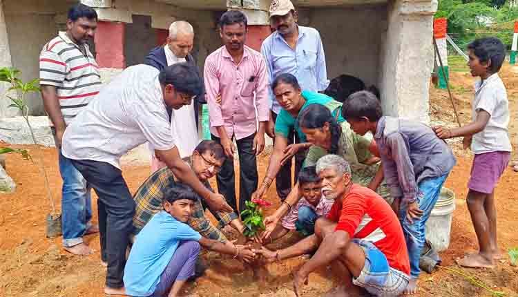 plantation program by youth for seva 4