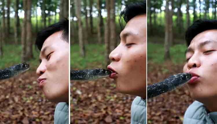 young kissed snake 0