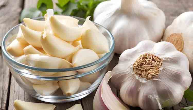 garlic eating benefits 1