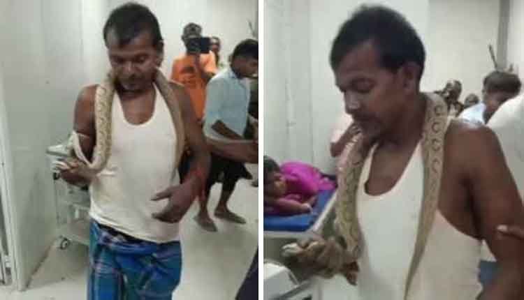 snake bite men bring snake with him