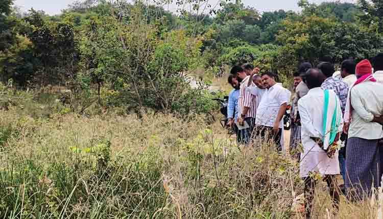 MLA Subbareddy visits for field 1
