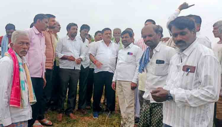 MLA Subbareddy visits for field 2