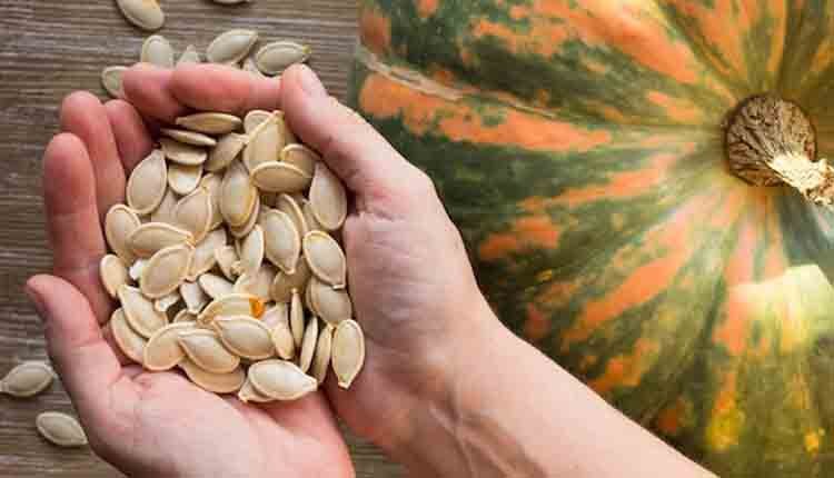 pumpkin seeds health benefits 2