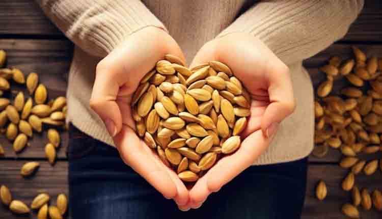 pumpkin seeds health benefits 3