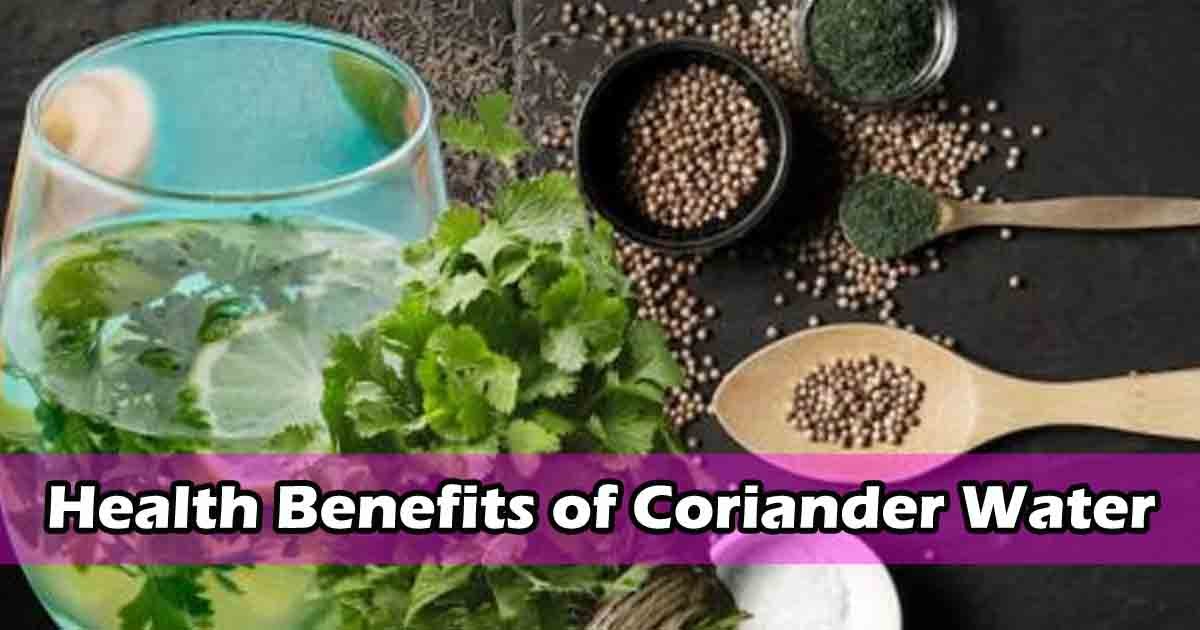 Fresh coriander leaves in water, a natural remedy with antioxidant and anti-inflammatory benefits