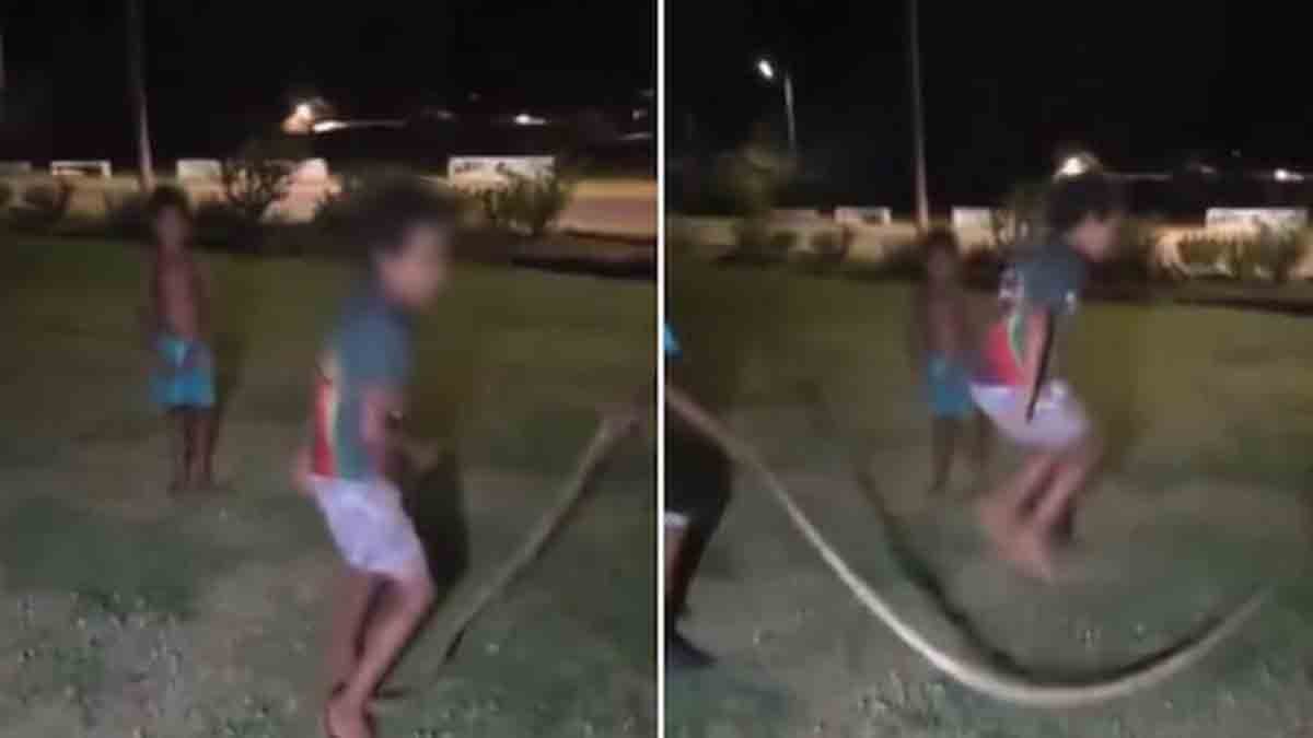 "Australian children skipping rope with a dead black-headed python in Woorabinda"