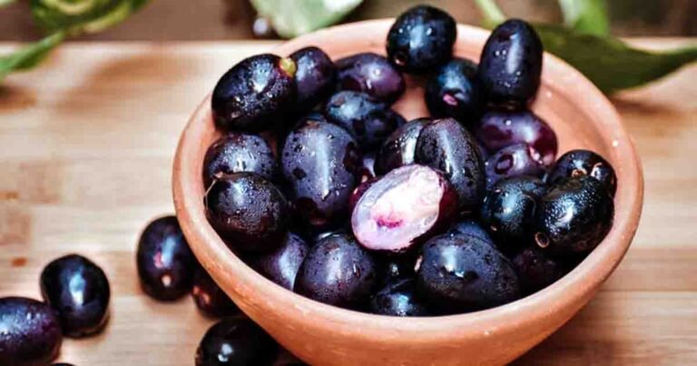 Health - Jamun fruit and its health benefits, rich in antioxidants, fiber, and beneficial for managing blood sugar levels