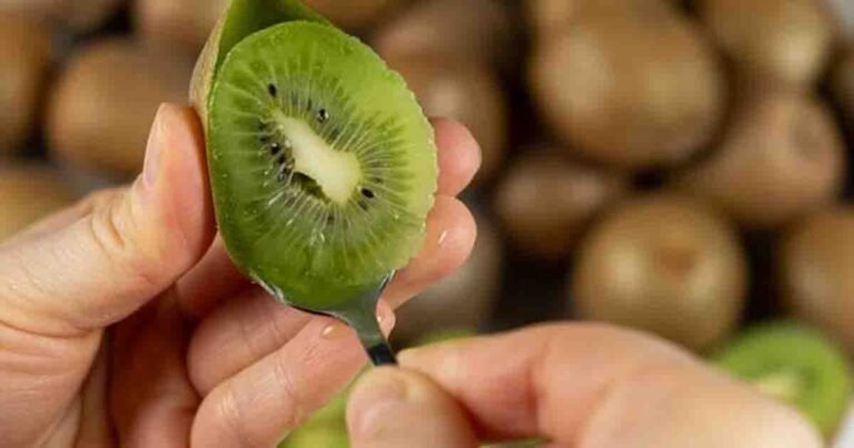 Kiwi fruit peel benefits – Nutritional value and health uses