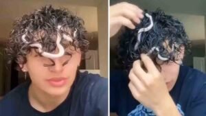 Watch - A viral video of a snake hatchling tangled in a girl's hair
