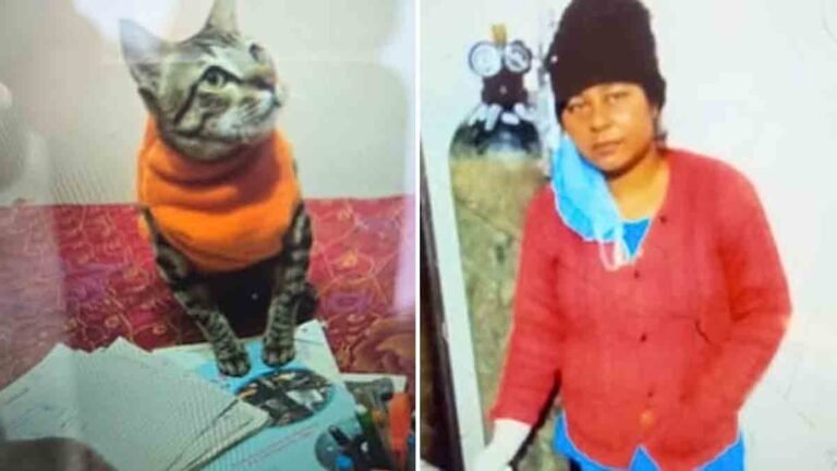 Cat - "A grieving woman in Uttar Pradesh sits next to her deceased pet cat, deeply saddened by its death."