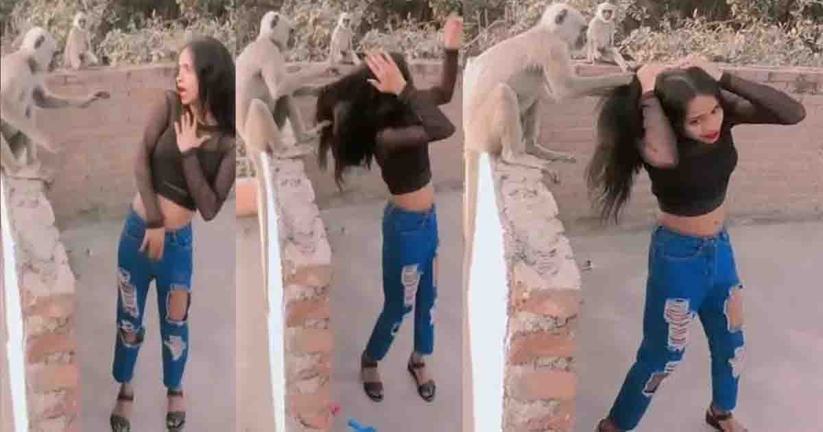 Young woman making a reels attacked by a monkey pulling her hair