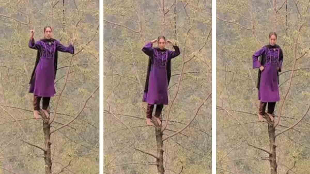 Reels - Kashmiri woman dancing atop tree tip for viral Instagram reel in Kashmir's natural landscape