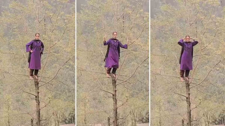 Reels - Kashmiri woman dancing atop tree tip for viral Instagram reel in Kashmir's natural landscape