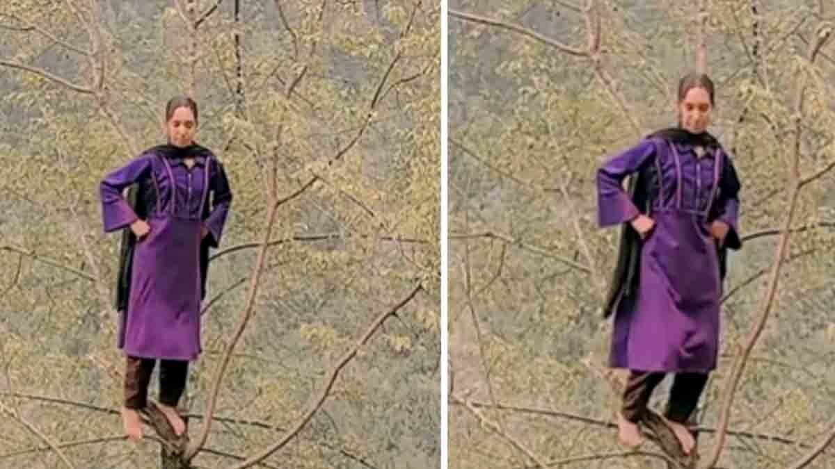 Reels - Kashmiri woman dancing atop tree tip for viral Instagram reel in Kashmir's natural landscape