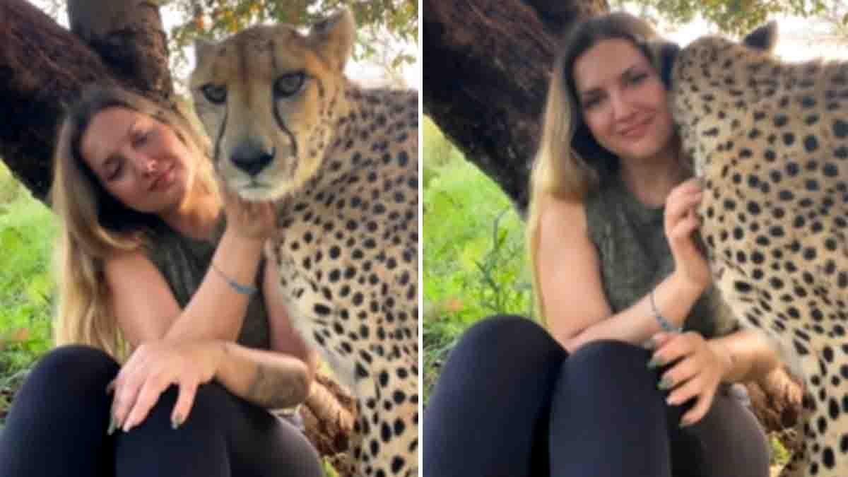 Woman kissing a cheetah in a heartwarming moment of affection