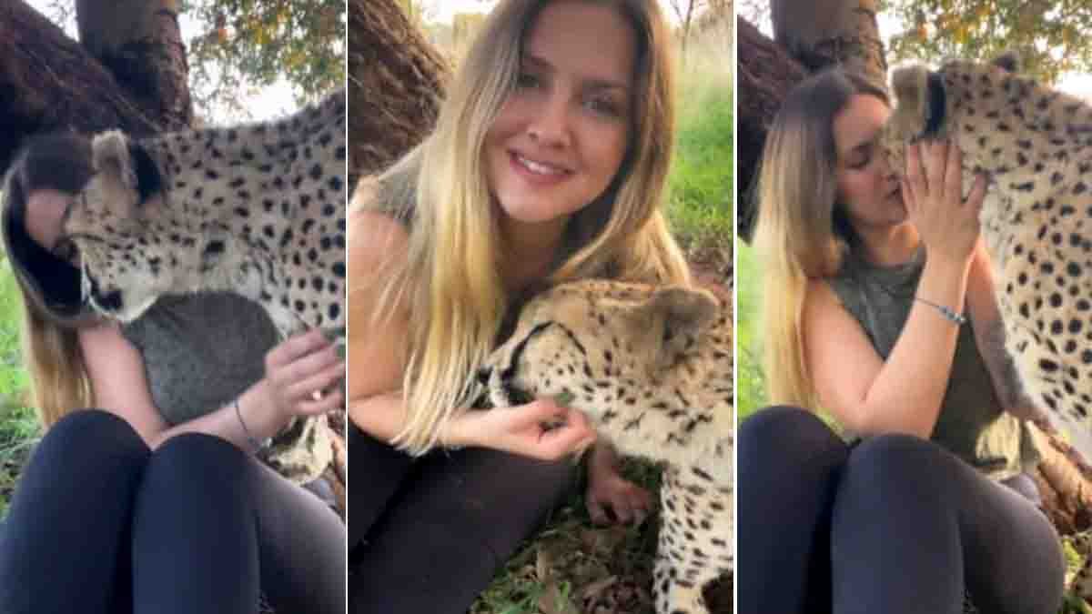 Woman kissing a cheetah in a heartwarming moment of affection