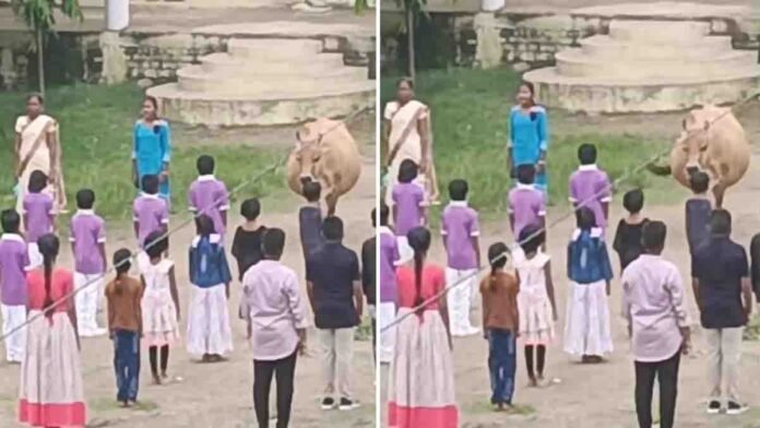 Cow standing still during the Indian national anthem in a school ground, showing silent respect and patriotism - Viral Video