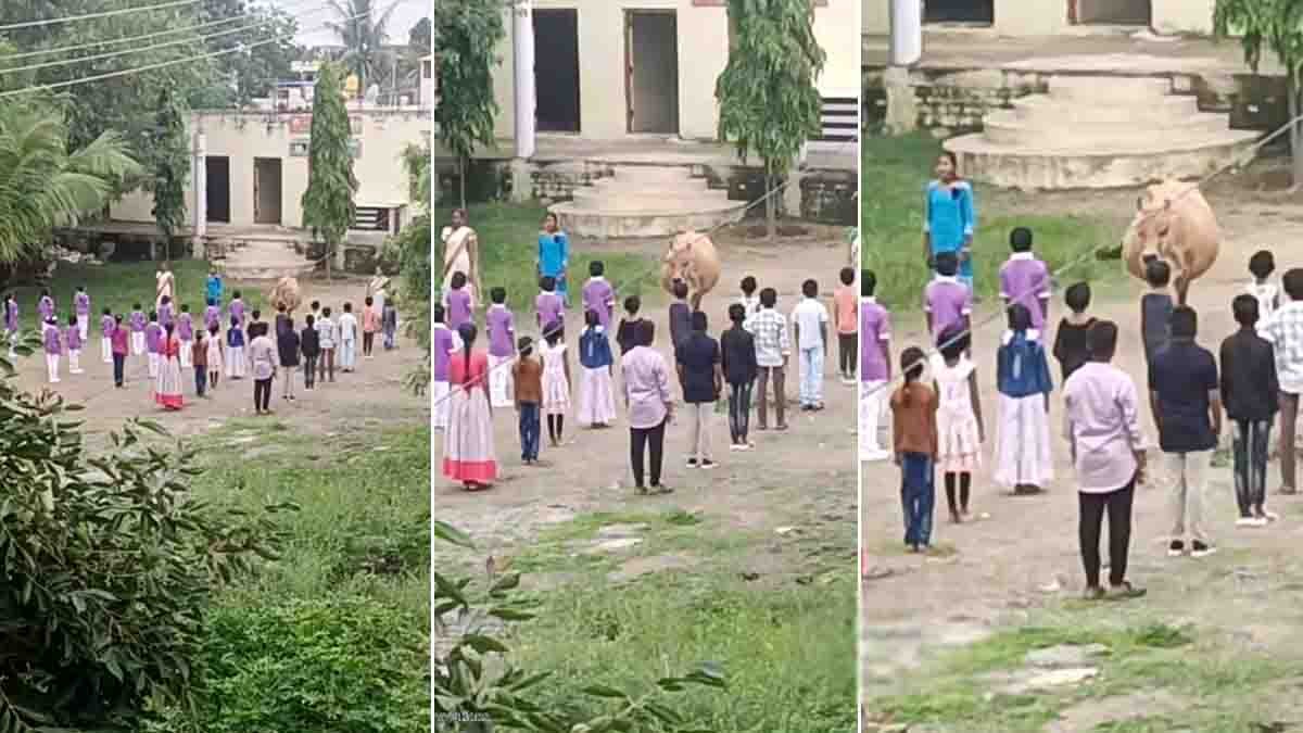 Cow standing still during the Indian national anthem in a school ground, showing silent respect and patriotism - Viral Video
