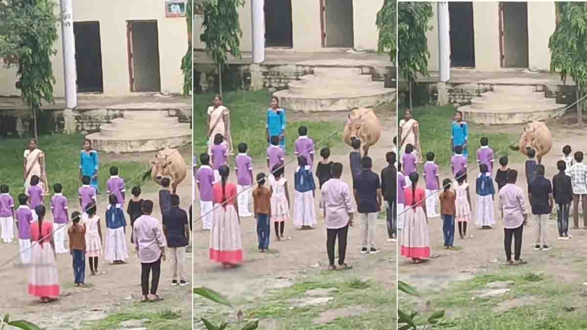 Cow standing still during the Indian national anthem in a school ground, showing silent respect and patriotism - Viral Video
