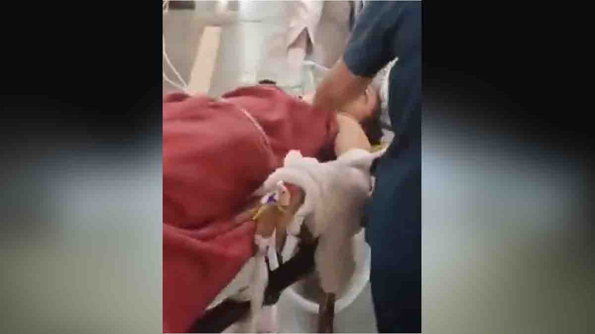 Burqa-clad man entering building, accused in Delhi Crime case involving 5th-floor terrace push over rejected marriage proposal