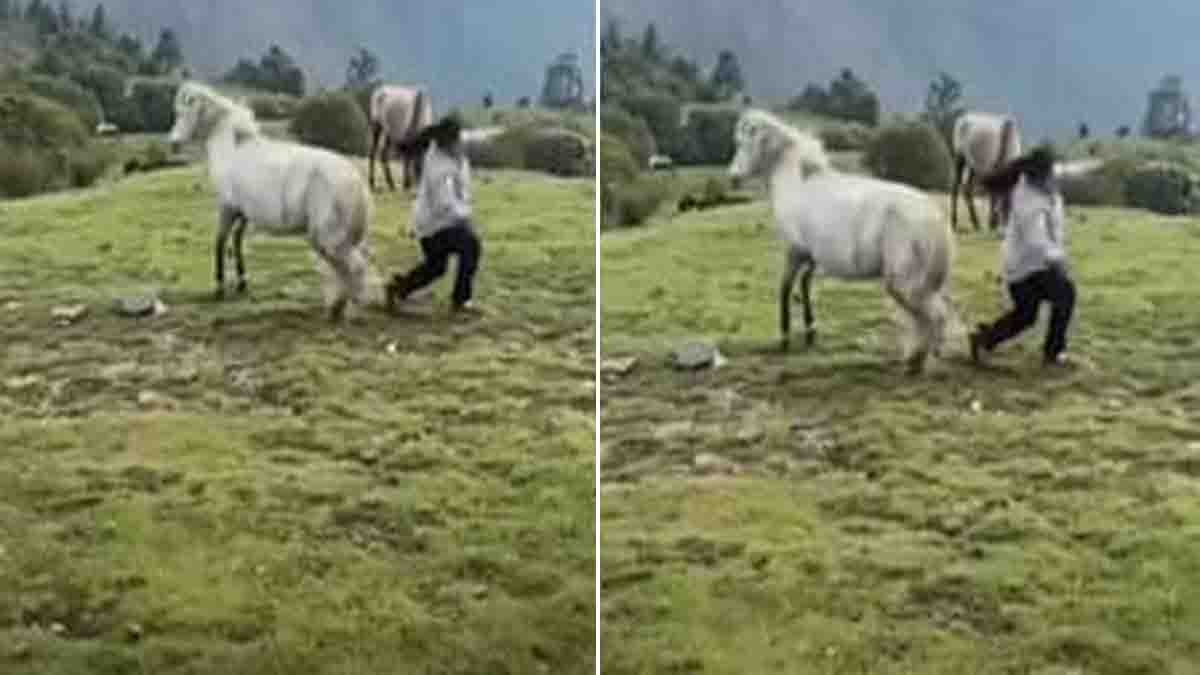 A young woman standing near a horse in a grassy field getting unexpectedly kicked while filming an Instagram Reel