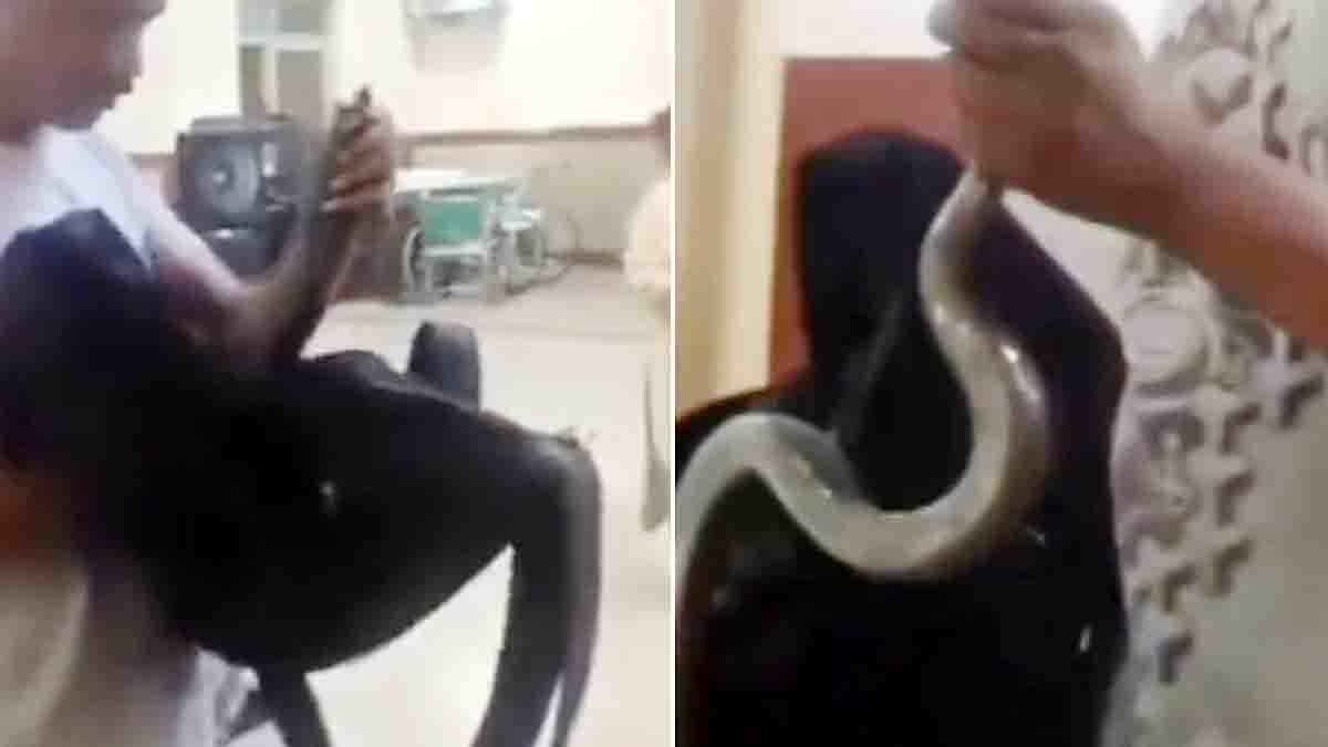 A young man opens a bag in a hospital emergency room revealing a live snake, while staff and patients react in shock – viral incident in Jaipur RUHS hospital