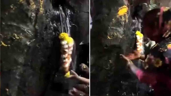 Locals worship tree spraying water in Pune, later revealed as pipeline leak - Viral Video