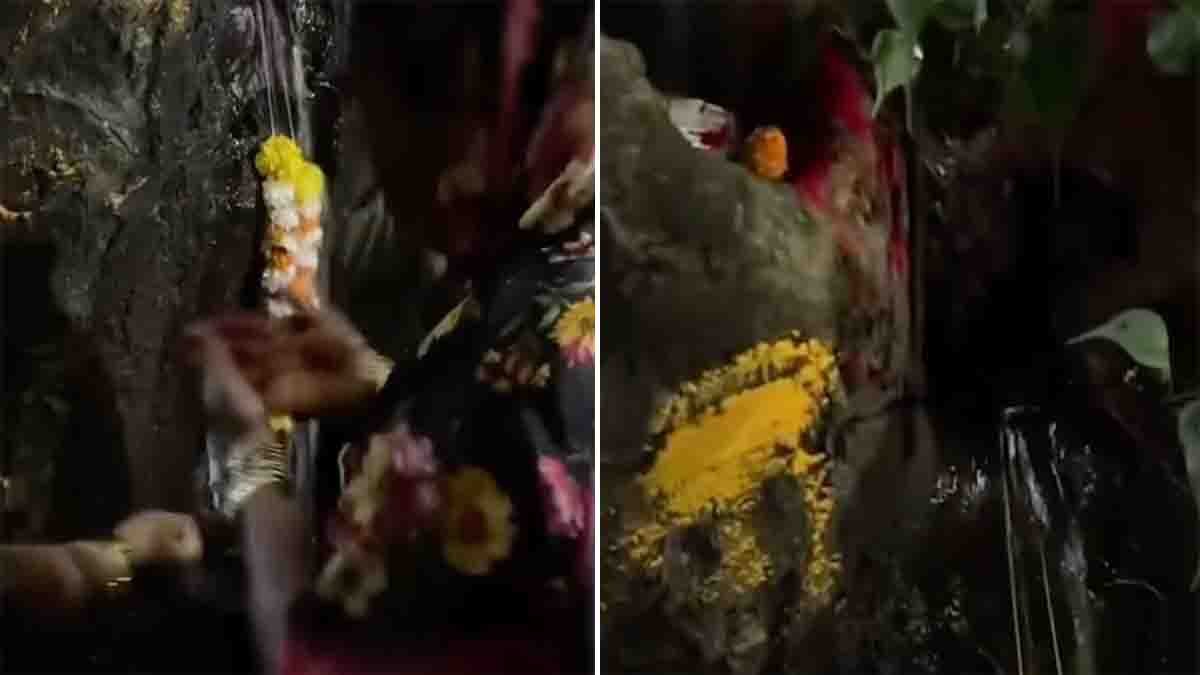 Locals worship tree spraying water in Pune, later revealed as pipeline leak - Viral Video
