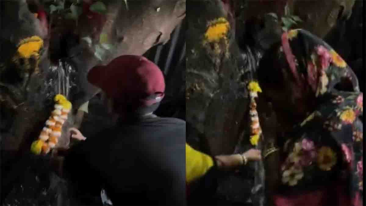 Locals worship tree spraying water in Pune, later revealed as pipeline leak - Viral Video