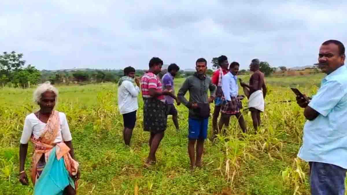 Crime - Land Dispute Turns Tragic in Gudibande – Man Dies in Nuligumba Village, Gudibande Taluk