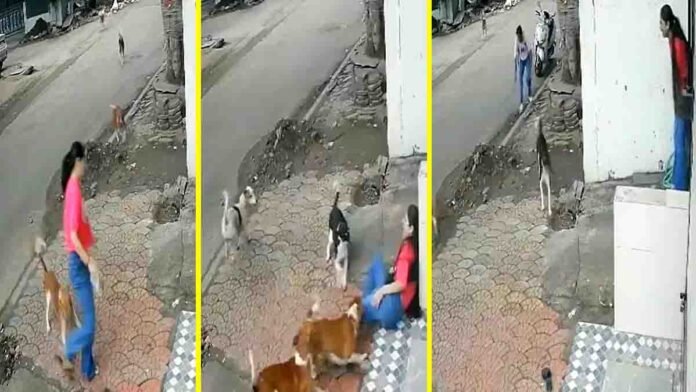 Shocking Dog Attack in Indore – Viral Street CCTV Capture