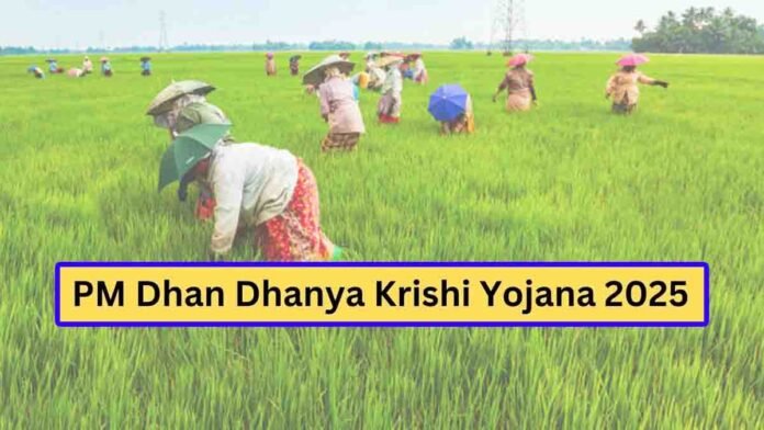PM Dhan Dhanya Krishi Yojana - Empowering Crore+ Farmers