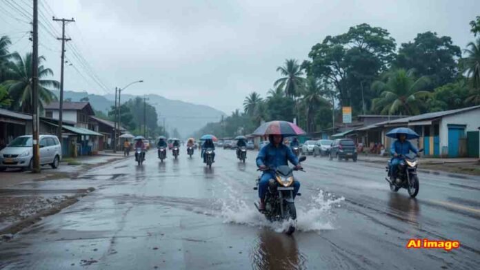 Heavy rain lashes Karnataka's coastal and Malenadu districts, IMD issues orange alert