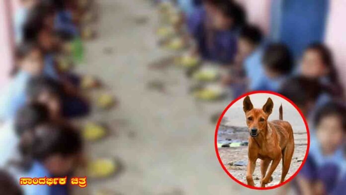 Chhattisgarh School Midday Meal Rabies Vaccine Incident