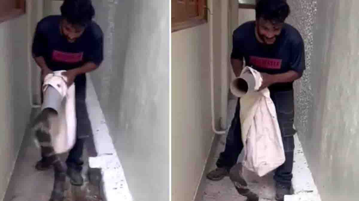 King Cobra rescue Viral Video 1