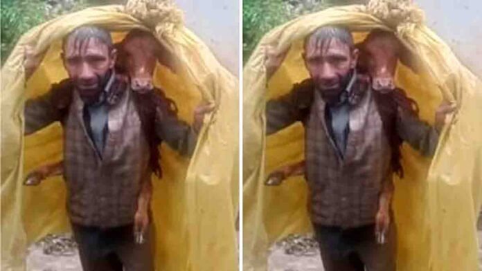 A brave man rescues a calf trapped in floodwaters in Jammu and Kashmir. This heart-touching act of humanity has gone viral on social media - Viral Video