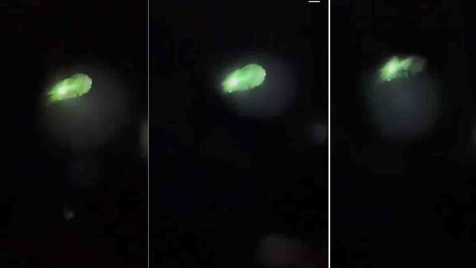 Viral UFO Video in Texas Sparks Alien Debate – Real or Fake?