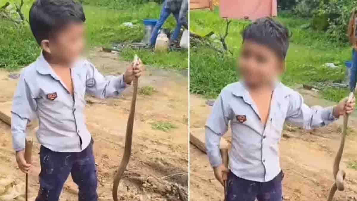 Fearless boy holding snake with bare hands viral video