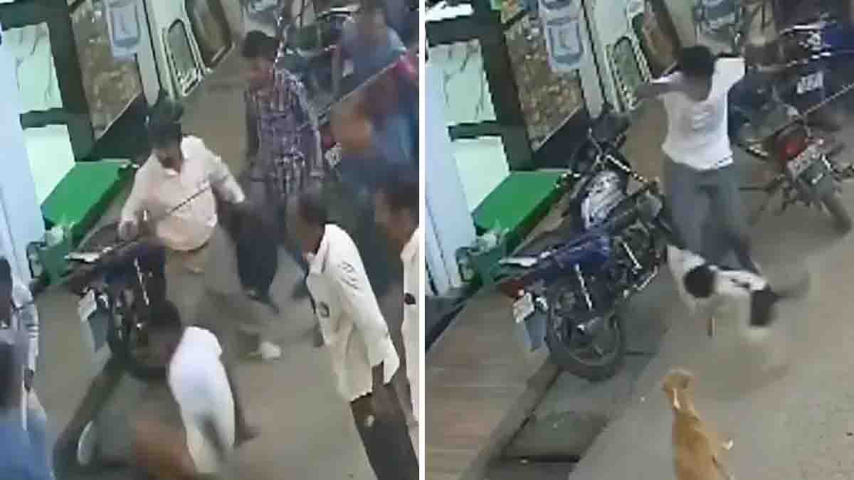 Stray dog entering restaurant in Kannur Kerala, viral video sparks panic