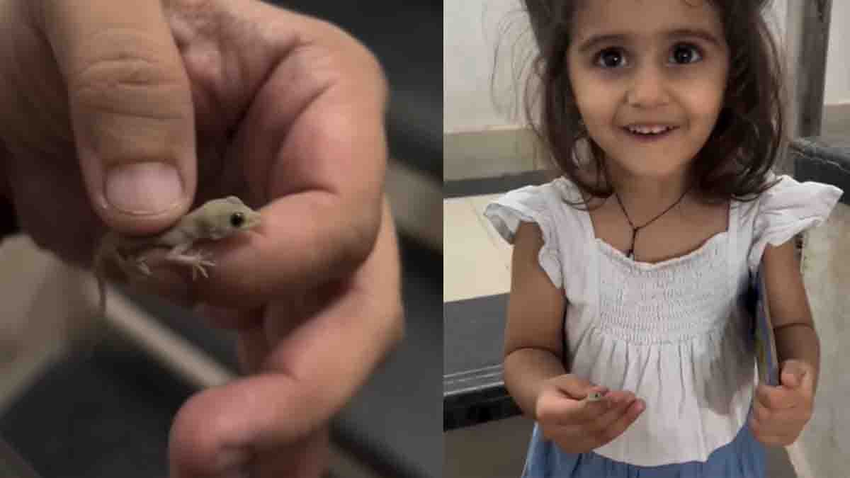 Little girl holding a lizard fearlessly while talking to her father – viral video moment