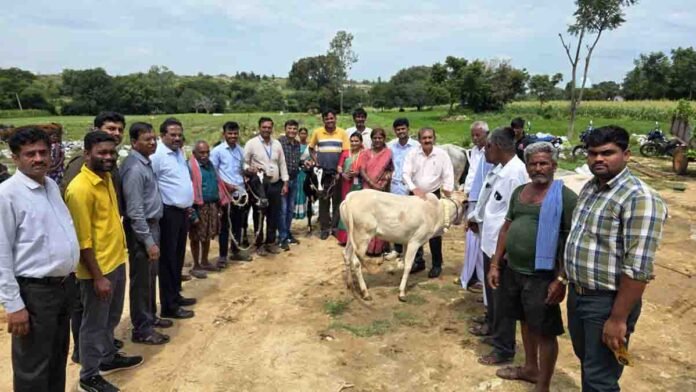Farmers with cattle receiving free veterinary treatment during dairy farming awareness camp in Chikkaballapur