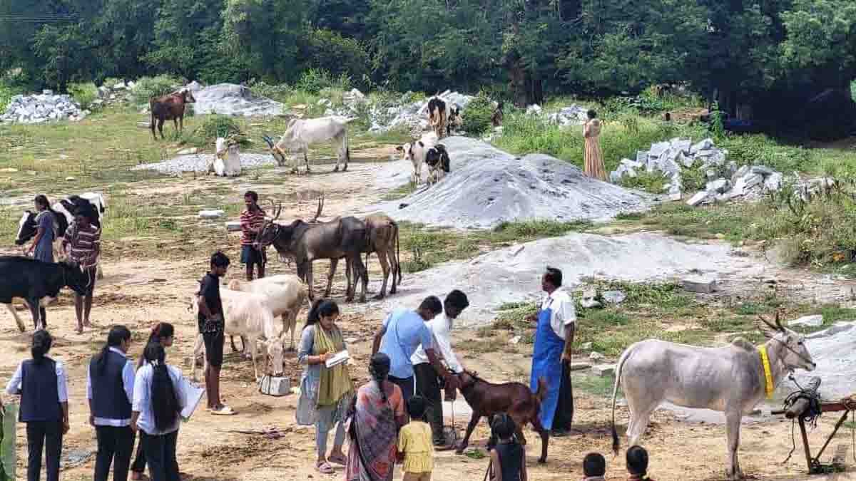 Farmers with cattle receiving free veterinary treatment during dairy farming awareness camp in Chikkaballapur