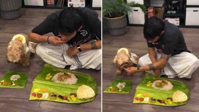 Heartwarming Onam Sadya celebration with pet dog Chai, Kerala festival traditions, banana leaf feast