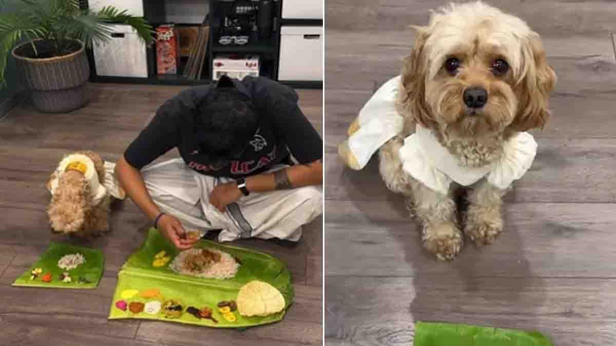 Healthy woman doing workout and eating fiber-rich food for flat stomach tips to burn belly fat naturally