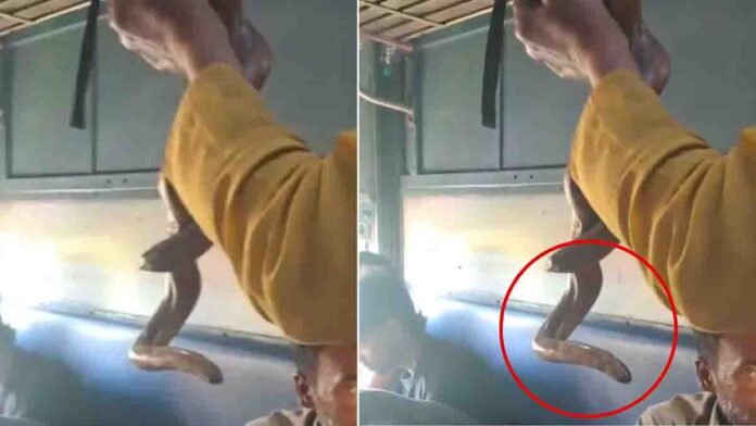 Sabarmati Express Snake Scare 1 Man with live snake threatens passengers on Sabarmati Express in Madhya Pradesh, viral train incident - Video